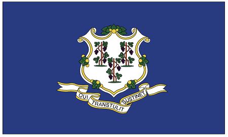 CONNECTICUT State Flag