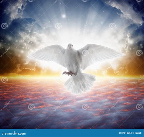 Holy Spirit Bird Flies in Skies, Bright Light Shines from Heaven Stock Image - Image of hope ...