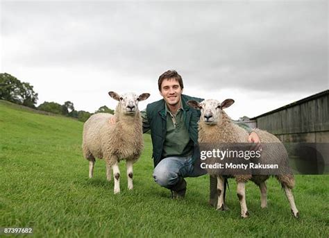 11,103 Man With Sheep Stock Photos, High-Res Pictures, and Images - Getty Images