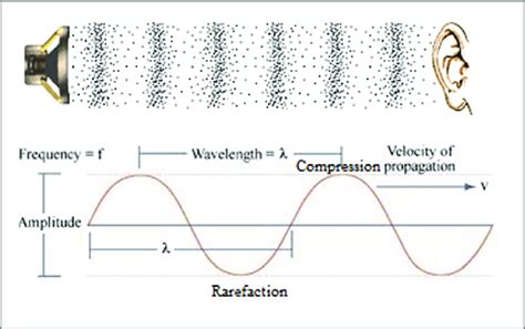 3.1. Sound wave (http://www.mediacollege.com/audio/01/sound-waves.html... | Download Scientific ...