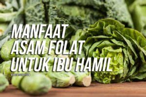 4 Manfaat Asam Folat untuk Ibu Hamil - KhasiatSehat.com