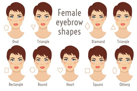 Eyebrow Shapes For Round Face | Woman and Girls