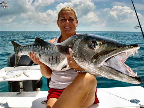 barracuda-fishing - Georgia Fishing Charters