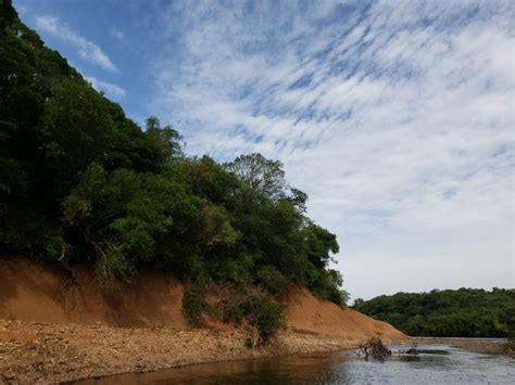 Fly Fishing on the Arapey River in Uruguay - Articles | Fly dreamers