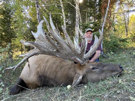 High-Fence Bull Elk Could Break an SCI World Record | Outdoor Life