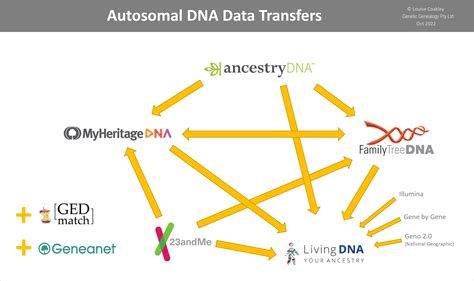 DNA Transfers: How to download a copy of your raw DNA data file & upload it to other databases ...