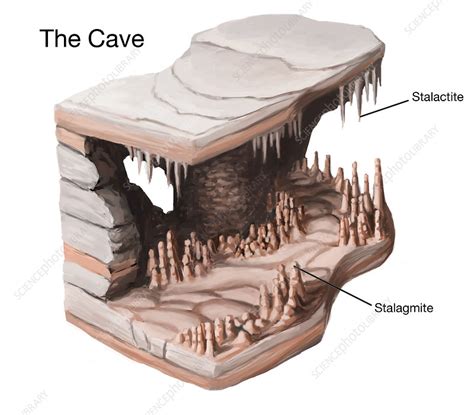 Stalactites & Stalagmites, illustration - Stock Image - C027/9909 - Science Photo Library