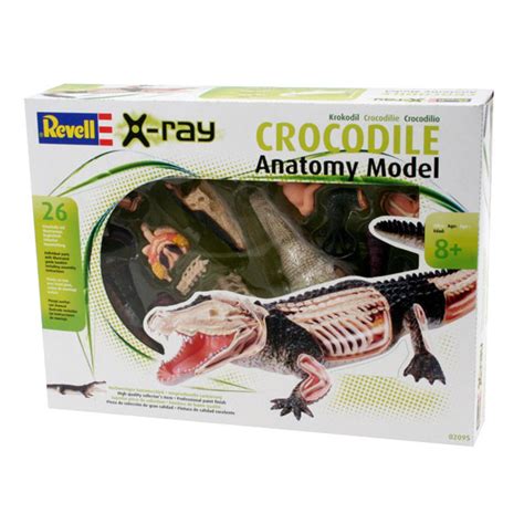 Revell X-Ray Anatomy Model Crocodile | Rapid Online