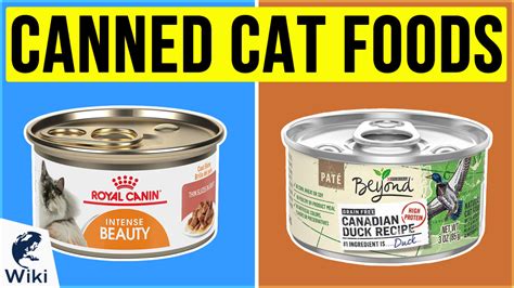 Top 10 Canned Cat Foods of 2020 | Video Review