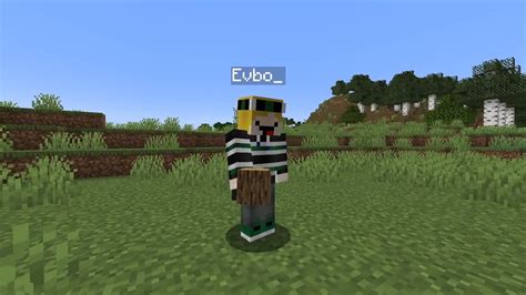 Evbo - Minecraft if it was played in REVERSE