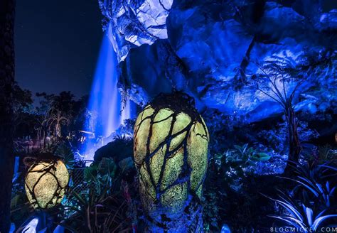 PHOTOS + VIDEO: Pandora - The World of Avatar Comes Alive at Night