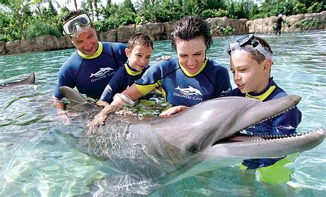 Swim with a dolphin at SeaWorld's Discovery Cove, plus enjoy 3 nights of luxury at Westgate Town ...