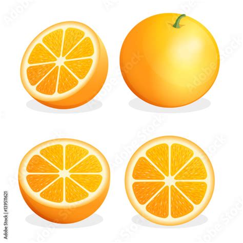 "Orange fruit. Vector illustration." Stock image and royalty-free ...