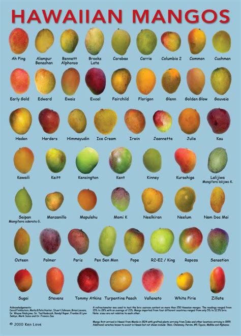 Over 2,000 varieties of mangoes! — NAPILI FARMERS MARKET