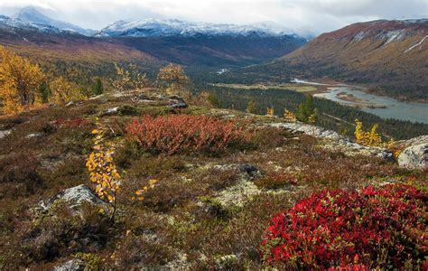 Fall colors in Norway - Pentax User Photo Gallery