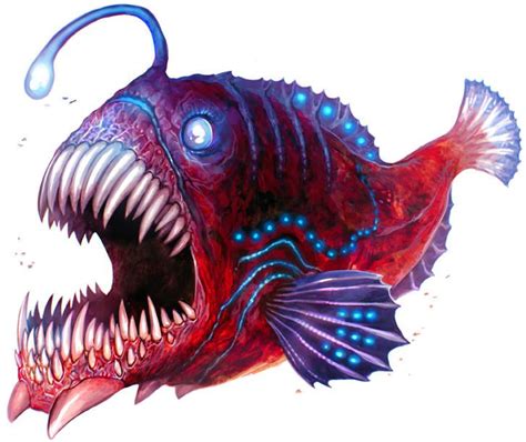 Anglerfish by Corbella on DeviantArt | Angler fish, Angler fish art, Angler fish drawing