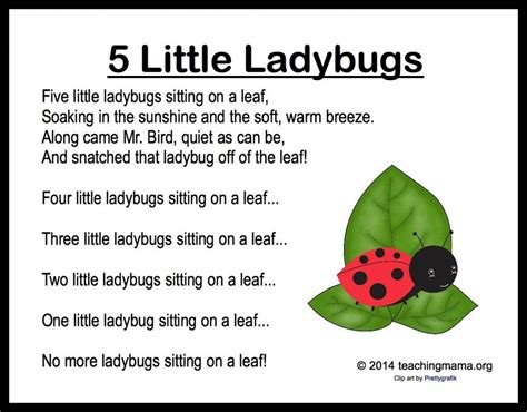 5 Little Ladybugs Song and Fingerplay | Classroom songs, Kindergarten songs, Preschool songs