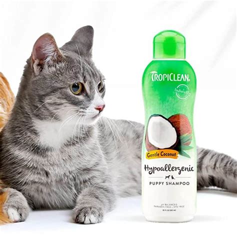 Pawfectly Clean: The Best Flea Shampoo for Kittens