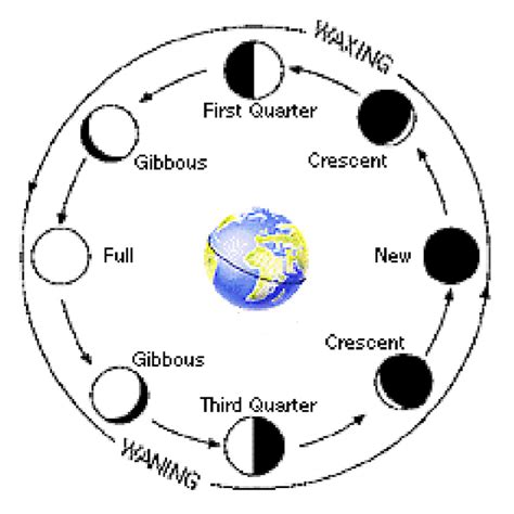 Moon Phases Diagram With Sun