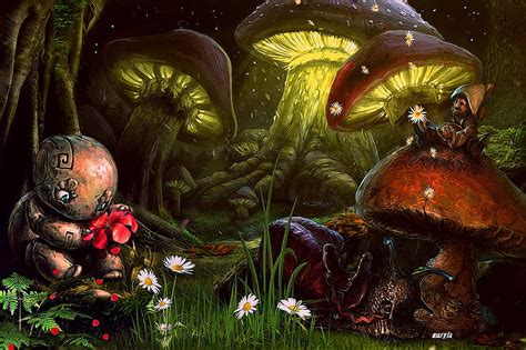 Fantasy Mushroom Forest Background - Mushroom Forest Hd Wallpaper Hintergrund 1920x1080 : 5 out ...