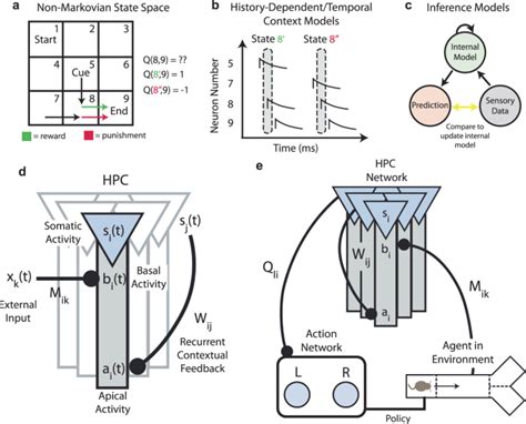 Latent representations in hippocampal network model co-evolve with behavioral exploration of ...