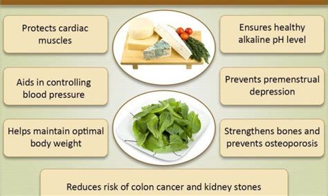 What are the benefits of calcium? - FITPAA