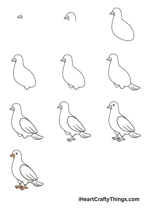 Dove Drawing - How To Draw A Dove Step By Step