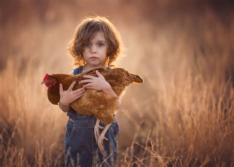 Farm Animals Photo Contest Winners - VIEWBUG.com