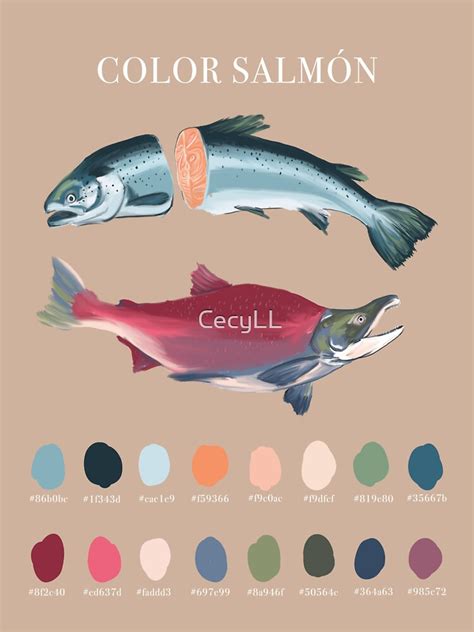 "Salmon color infographic" Sticker by CecyLL | Redbubble