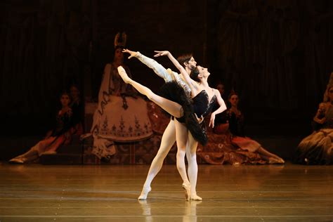 An Idyllic Swan Lake: Mariinsky Theatre, 14 November 2017 | Vaganova Today