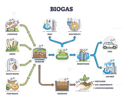 Biogas or bio gas division for energy consumption and sources outline diagram | Proyectos de ...