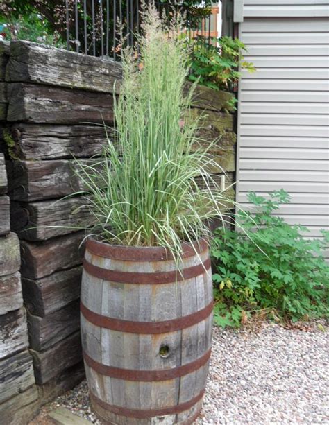 Best Ornamental Grasses for Containers | Growing Ornamental Grass