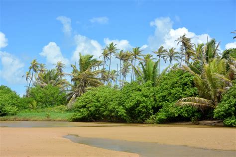 Imbassaí Beach, Brazil