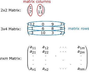 Difference Between a Row & Column Vector - Lesson | Study.com