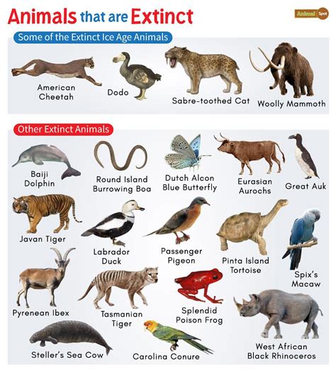 Extinct Animals Images With Names