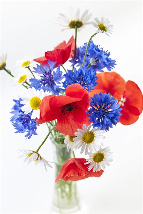 Wildflower bouquet | Poppy flower bouquet, Wildflower bouquet, Poppy ...