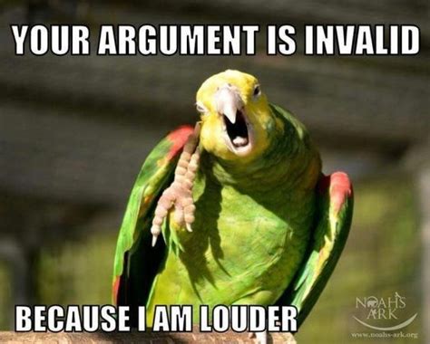 LOL Parrots | Page 17 | Hip Forums