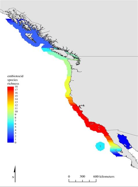 Surfperch Clades Partition by Habitat, Suggesting Adaptive Radiation ...