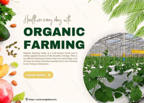 What is organic farming? Features, Roles and Benefits