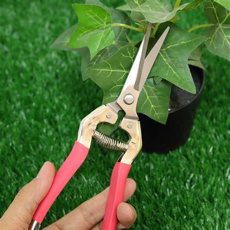 garden pruning scissors plant cutter flower fruit grape scissors at ...