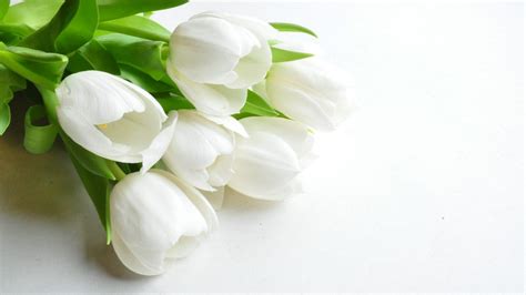 White Flowers Wallpapers - Wallpaper Cave