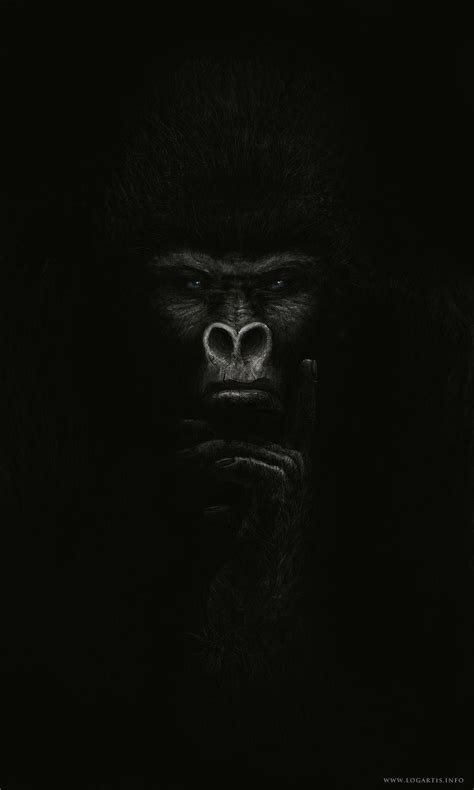 Angry Gorilla Wallpaper Hd