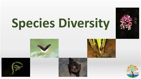 Species Diversity | Biodiversity, Wildlife Conservation and Management ...