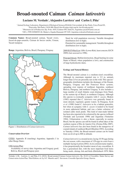 (PDF) Broad-snouted Caiman Caiman latirostris