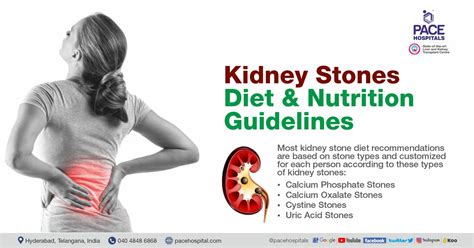 Foods High In Calcium Oxalate Kidney Stones