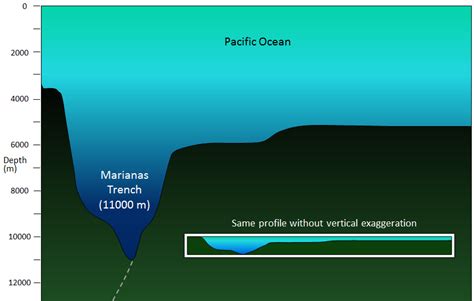 18.1 The Topography of the Sea Floor | Physical Geology