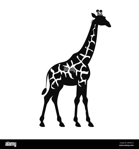 Giraffe silhouette. Giraffe black icon on white background Stock Vector Image & Art - Alamy