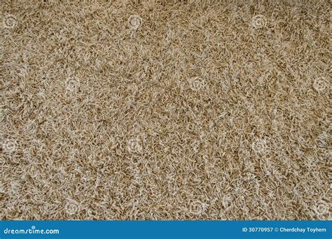 Long Pile Carpet Texture Royalty-Free Stock Photo | CartoonDealer.com #45126573