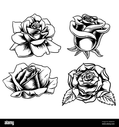 Rose tattoo vector hi-res stock photography and images - Alamy