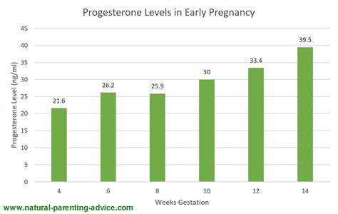 How To Increase Progesterone Levels In Early Pregnancy - PregnancyWalls